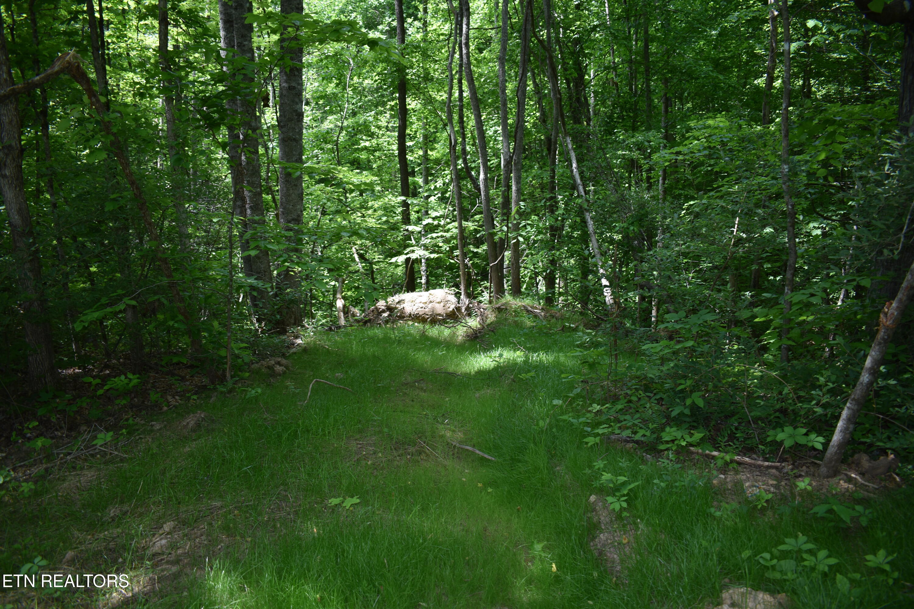Shady Valley Road Rose Hill, VA 24281 - Photo 20 of 28 DSC_0023