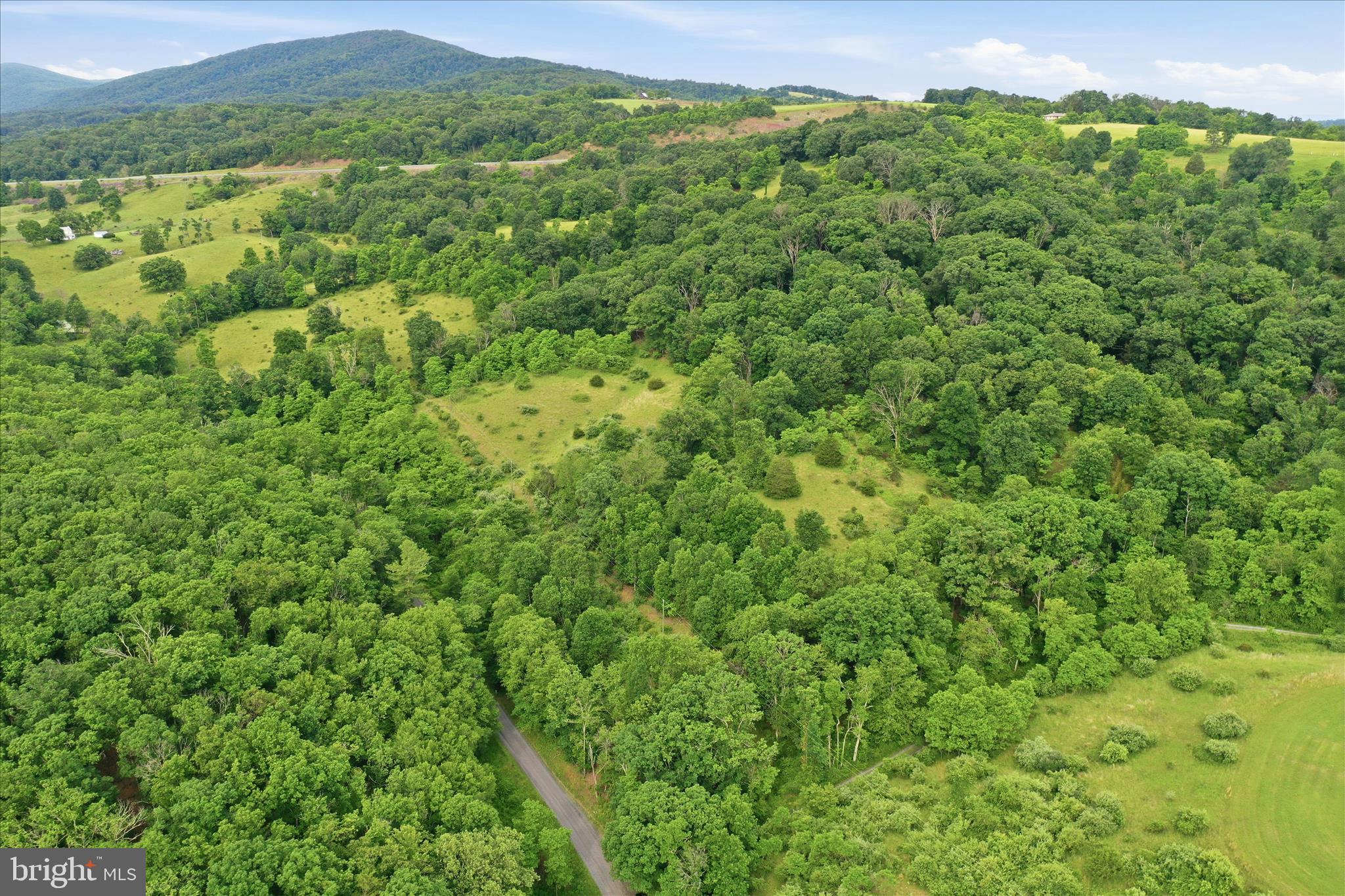 11.95-ac Luxemburg Road Baker, WV 26801 - Photo 11 of 23