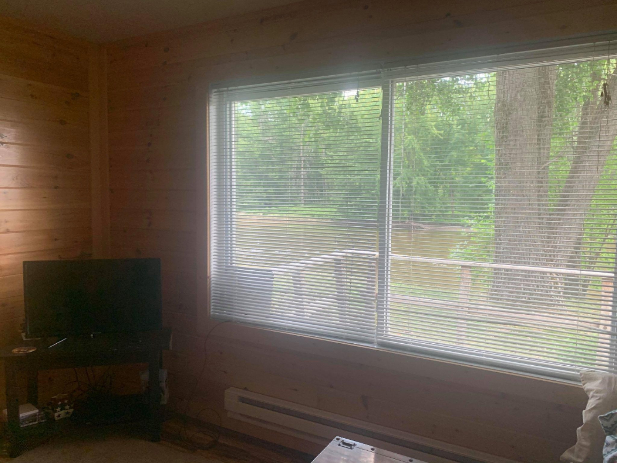 4987 Beaver Road Evart, MI 49631 - Photo 23 of 29 107268410_403663217242559_85459926264412