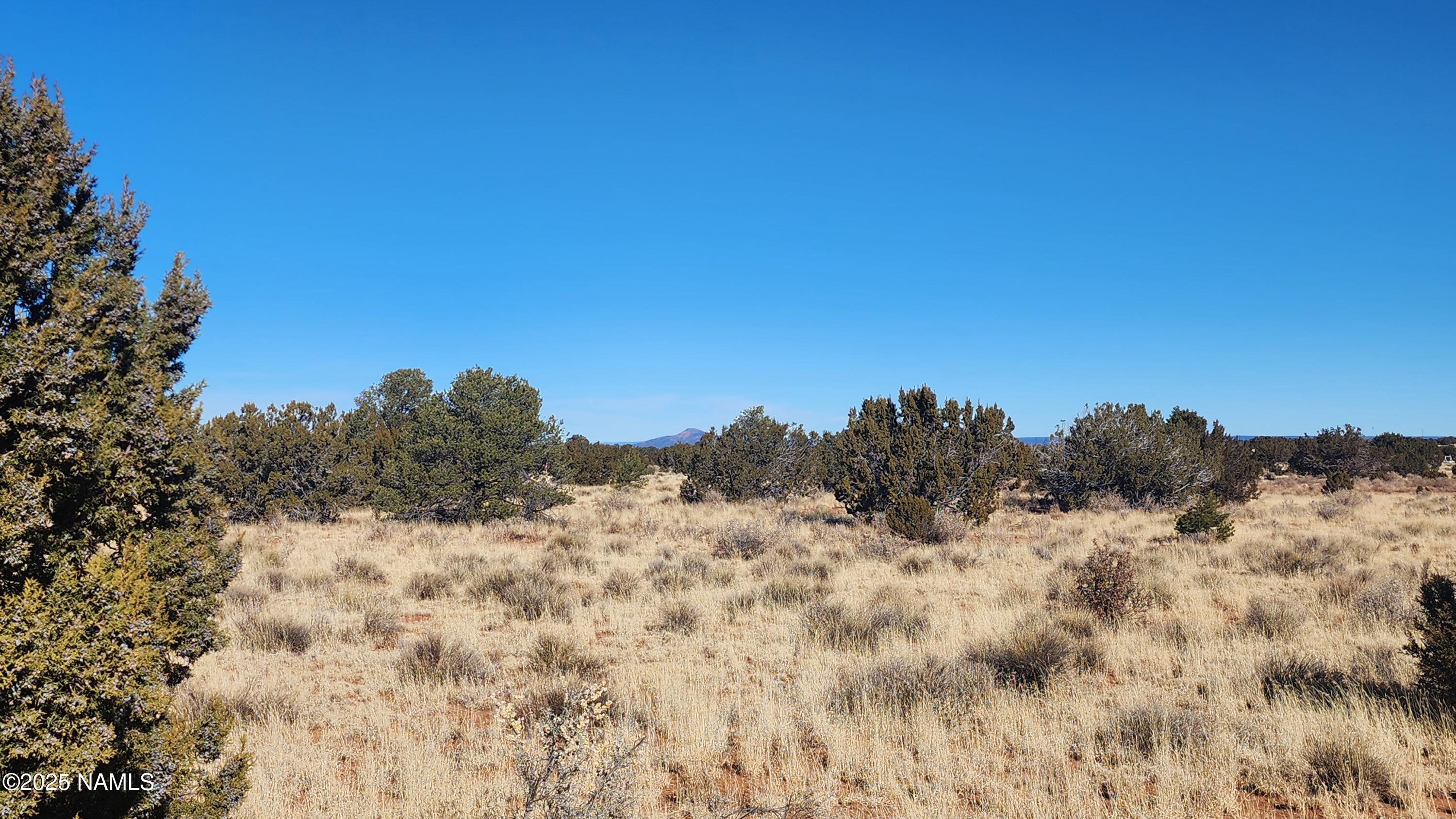 3372 East Valencia Road Williams, AZ 86046 - Photo 11 of 32 1000023783