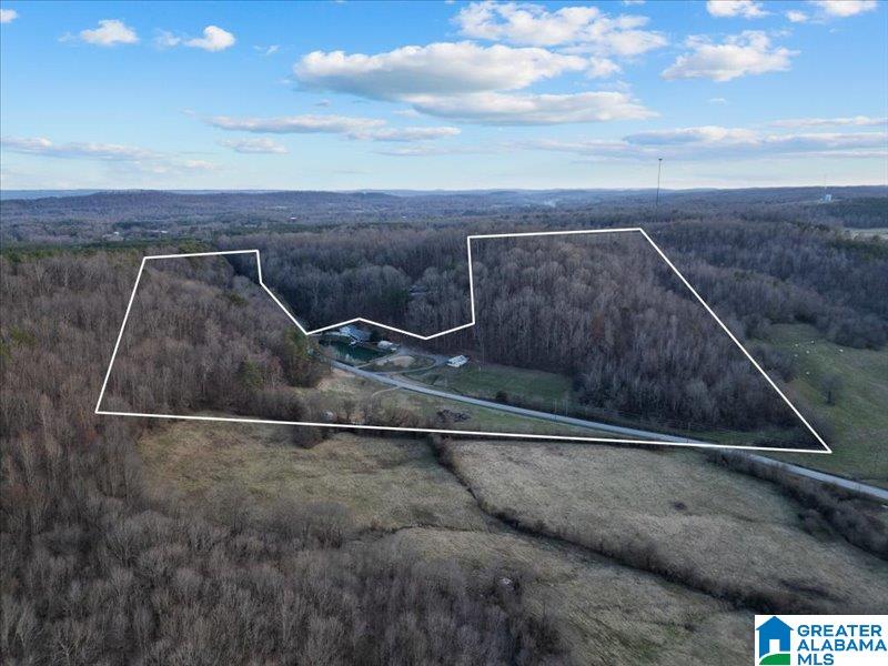 0 Rocky Hollow Road, Unit 3 00 Guntersville, AL 35976 - Photo 4 of 23