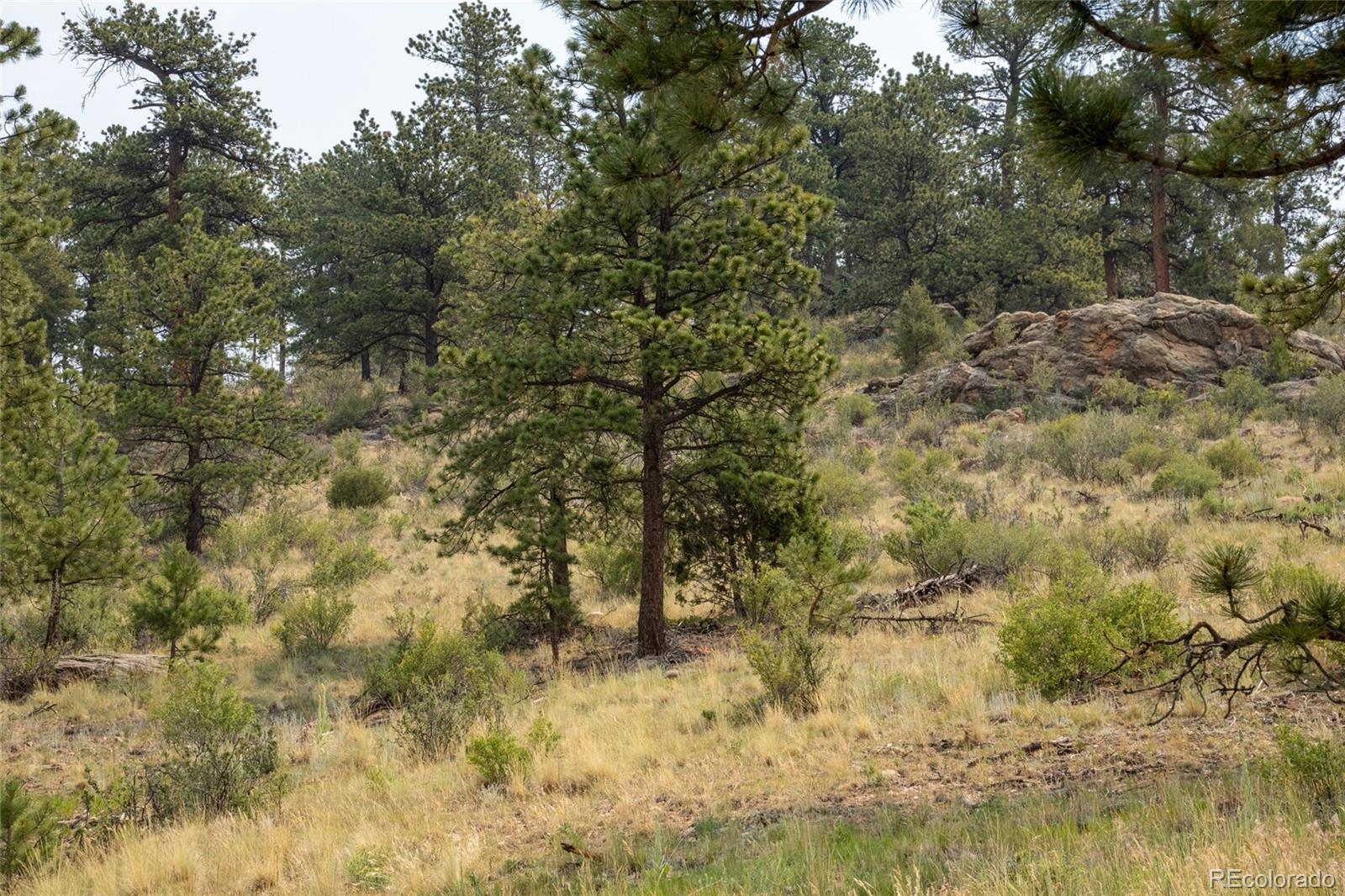 13990 Pine Valley Road Pine, CO 80470 - Photo 20 of 21