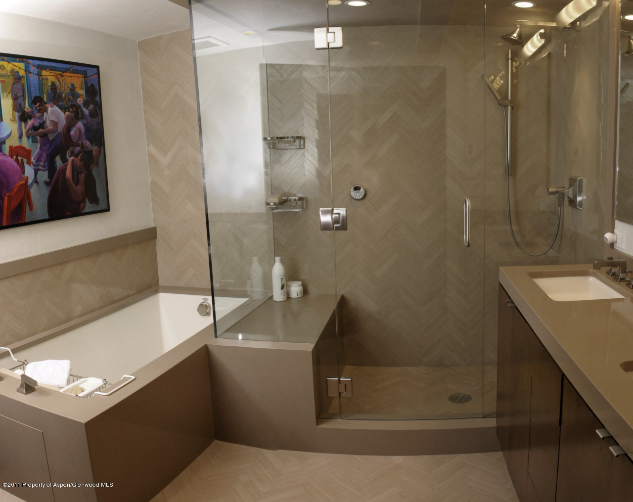 701 South Monarch Street, Unit 2 Aspen, CO 81611 - Photo 13 of 13 a bathroom with a sink a toilet and shower