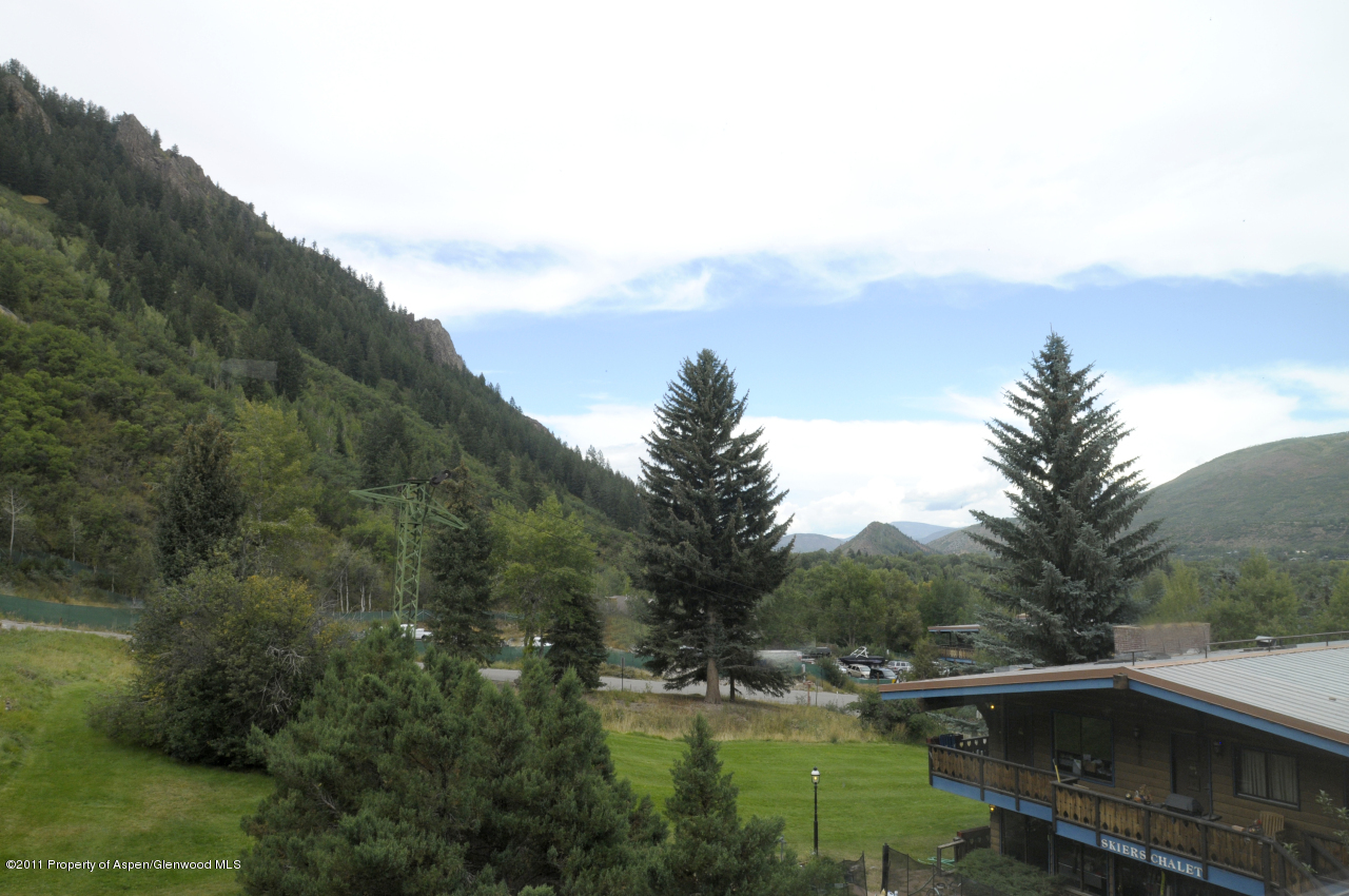 701 South Monarch Street, Unit 2 Aspen, CO 81611 - Photo 2 of 13 a view of outdoor space and yard