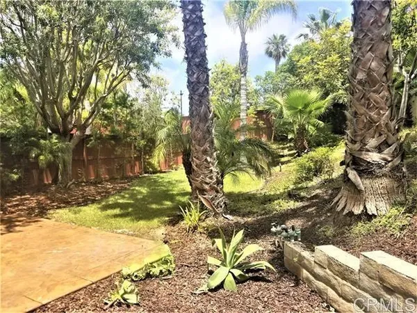 a view of yard with tree