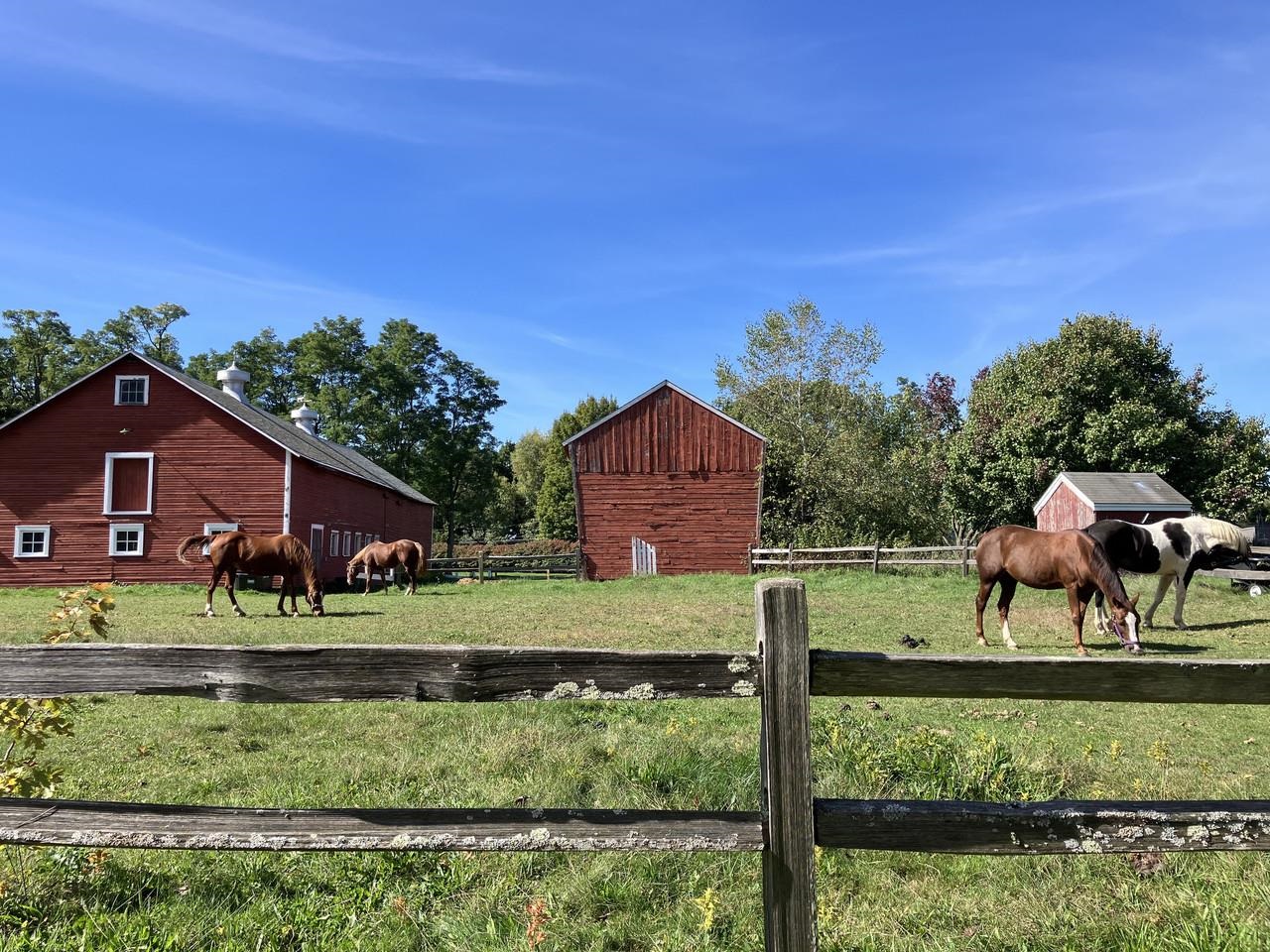 75 Cumberland Road Burlington, VT 05408 - Photo 43 of 48