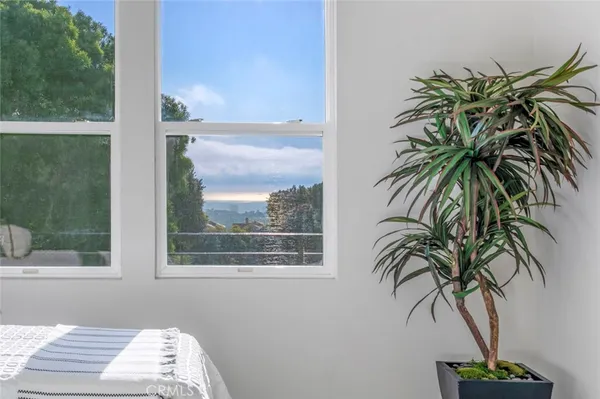 a view of a window and a palm tree
