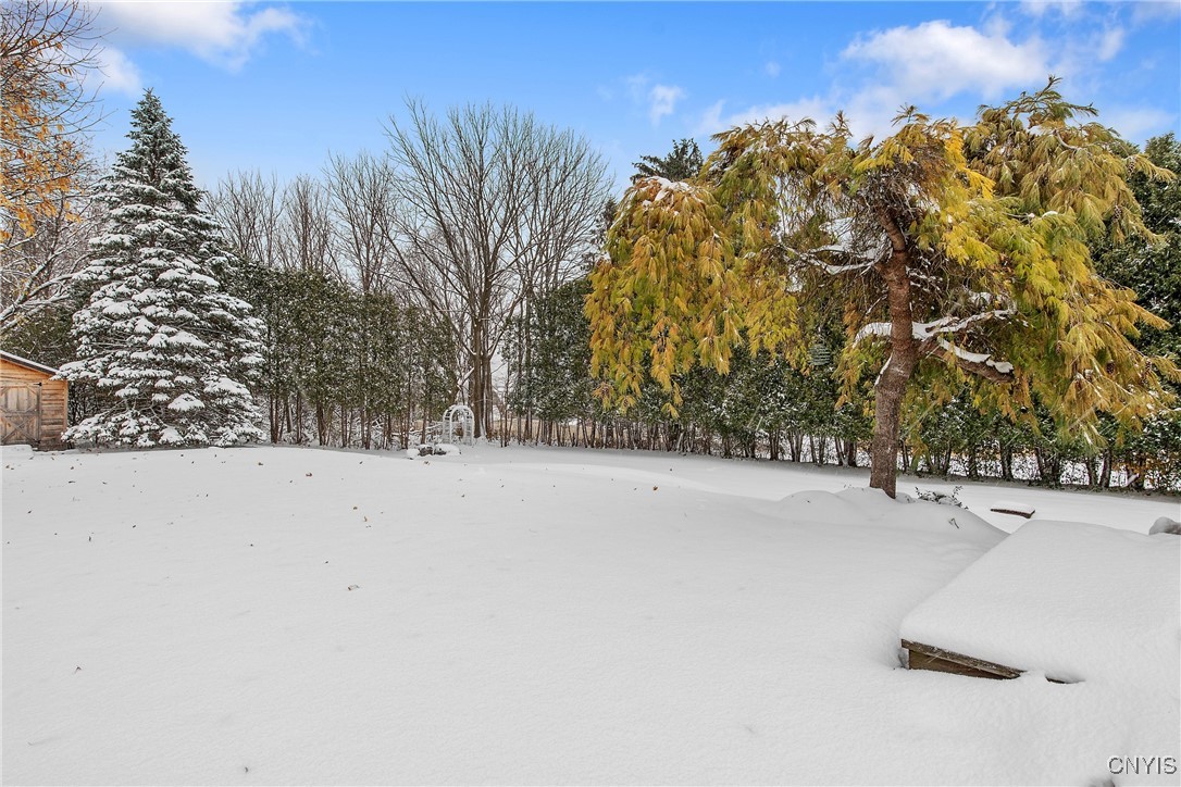 3967 Howlett Hill Road Onondaga, NY 13215 - Photo 35 of 39