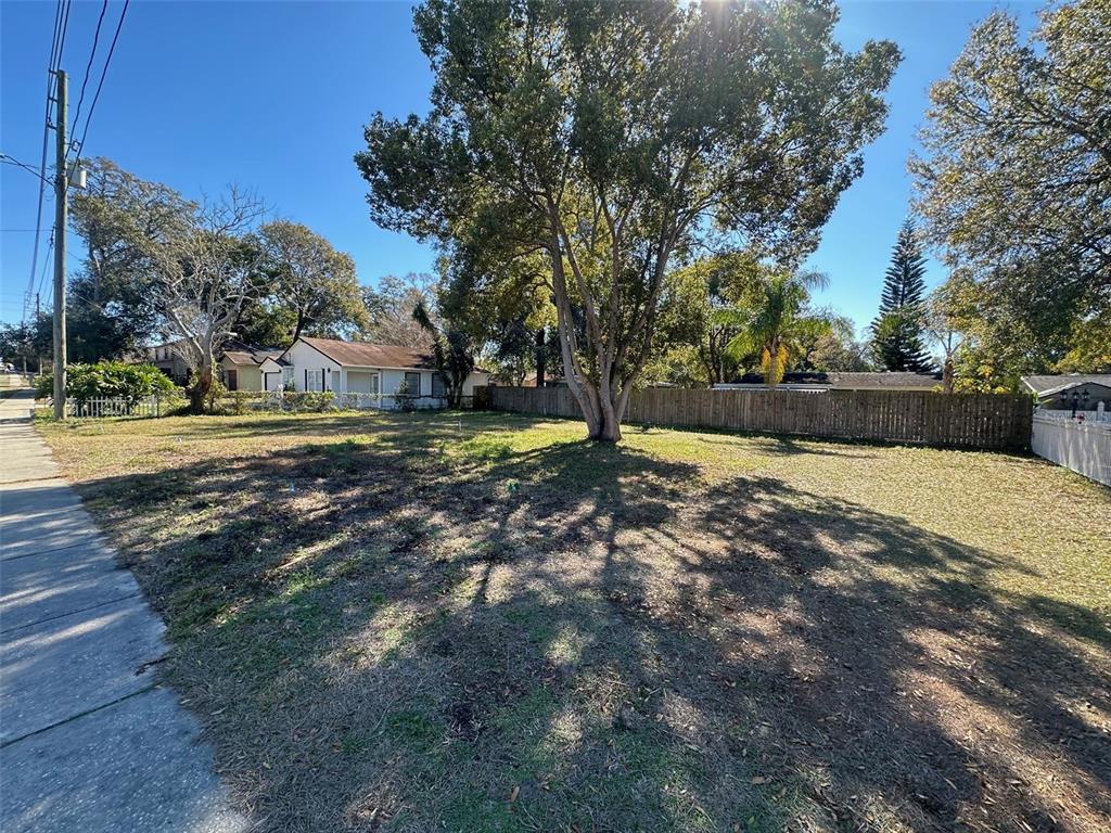 a view of a backyard with large trees