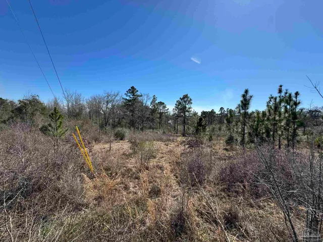 $42,500 | Lot 1 Will Jones Road, Jay, FL 32565