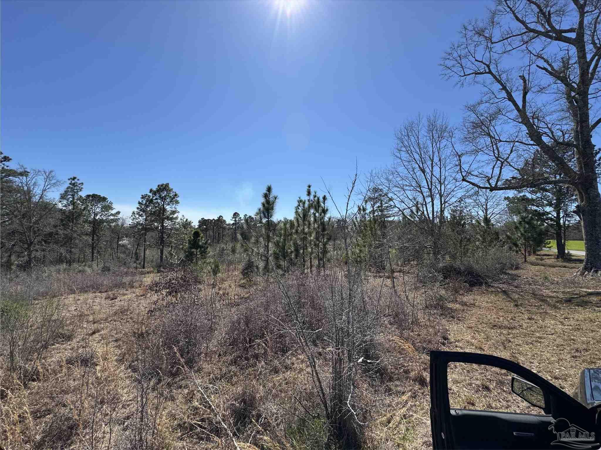 Lot 1 Will Jones Road Jay, FL 32565 - Photo 3 of 5