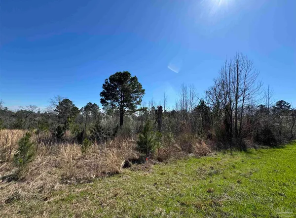 $42,500 | Lot 1 Will Jones Road, Jay, FL 32565