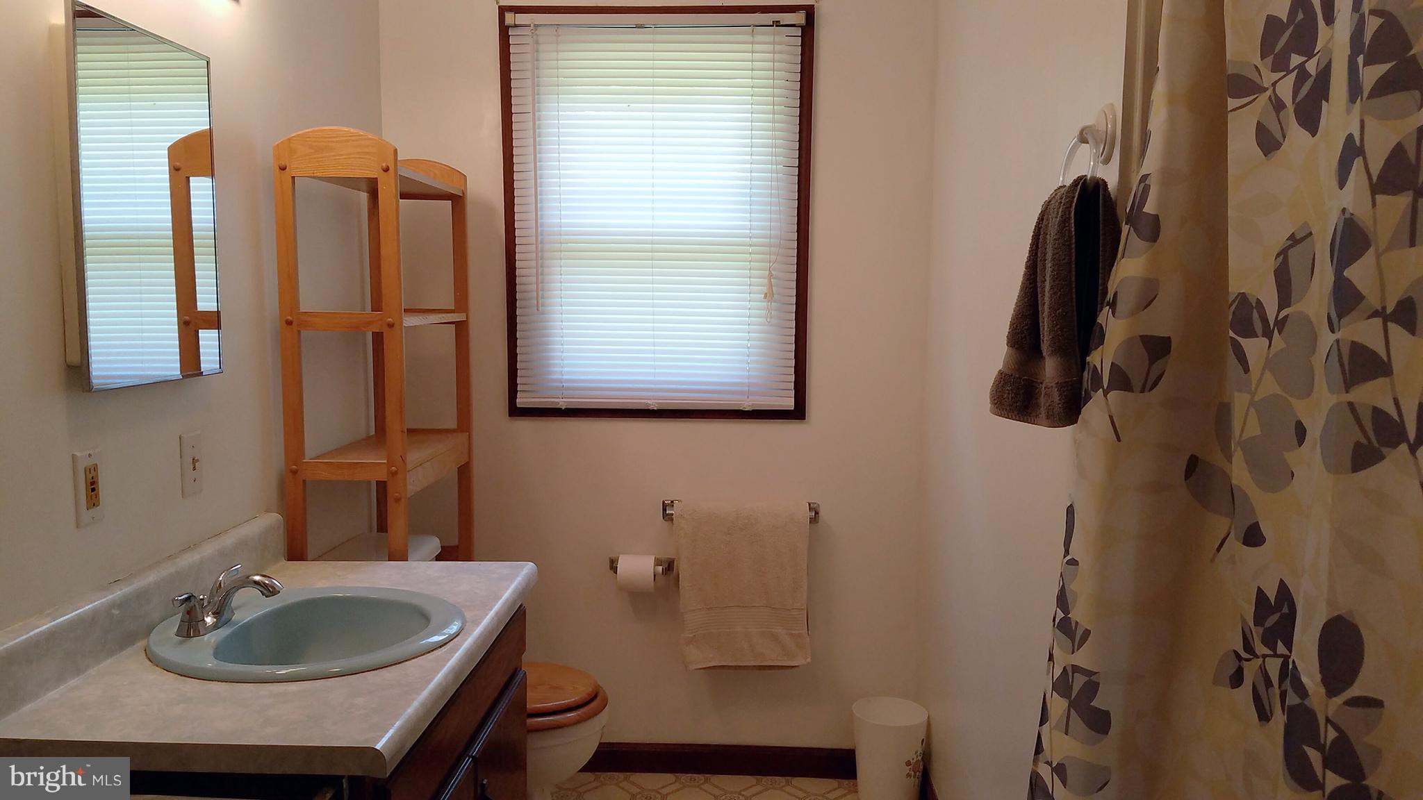 1539 Blue Mountain Road Front Royal, VA 22630 - Photo 7 of 20 Hall Bath between Bedroom 1 & Bedroom 2