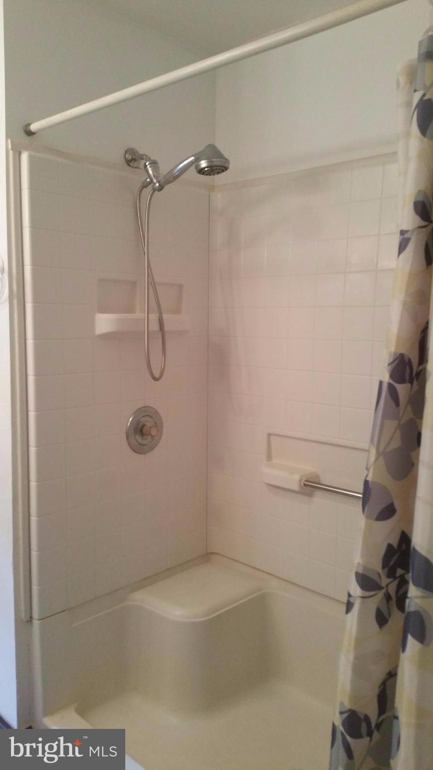 1539 Blue Mountain Road Front Royal, VA 22630 - Photo 8 of 20 Oversized Shower