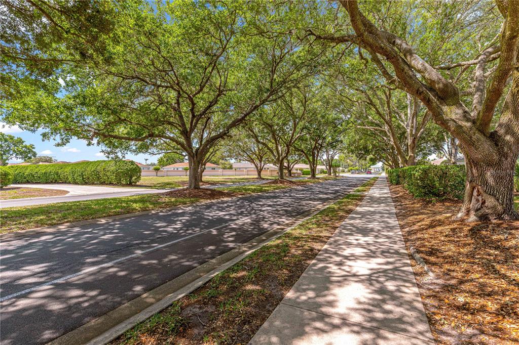 8660 Southeast 140th Place Road Summerfield, FL 34491 - Photo 28 of 55
