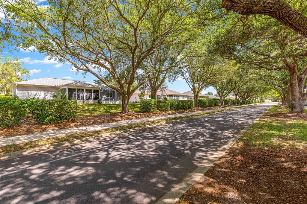 8660 Southeast 140th Place Road Summerfield, FL 34491 - Photo 29 of 55