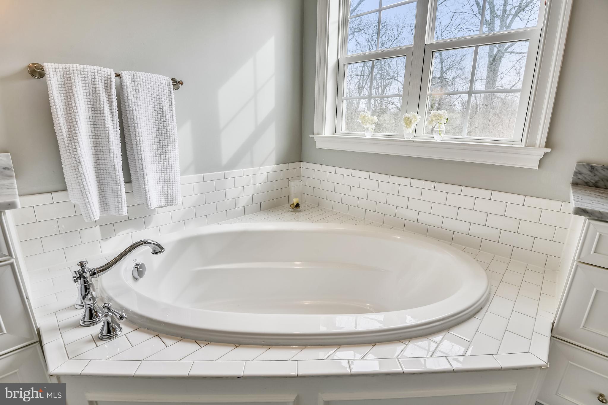 1013 Shore Acres Road Arnold, MD 21012 - Photo 28 of 67 Soaking tub