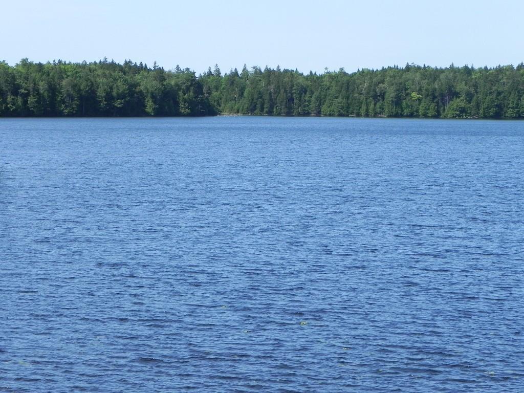 0 Dodge Road Whiting, ME 04691 - Photo 1 of 1 Photo