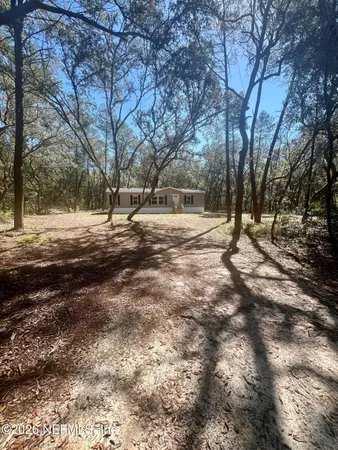a view of empty space with large trees