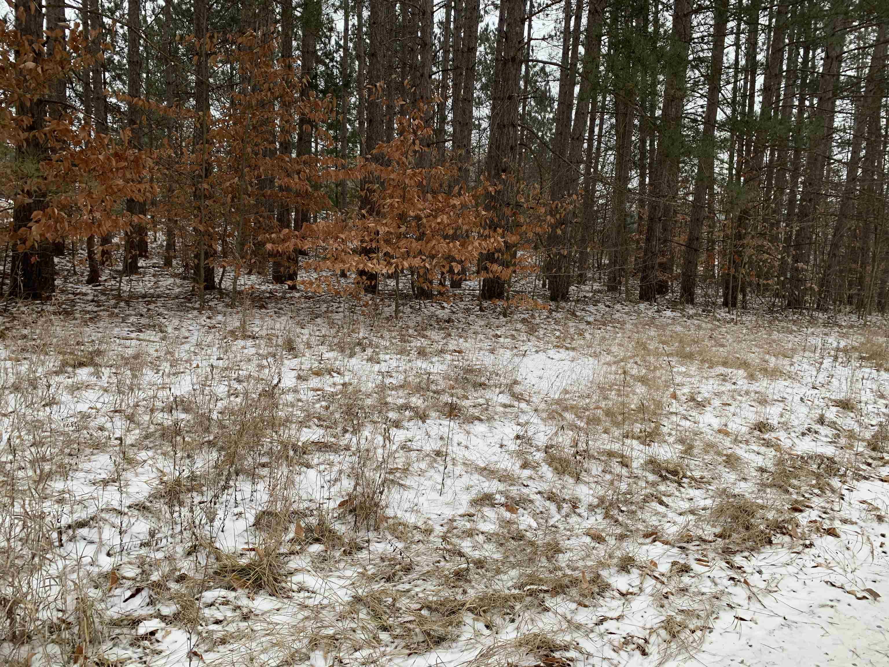 0 South 15 1/2 Road Boon, MI 49618 - Photo 1 of 11