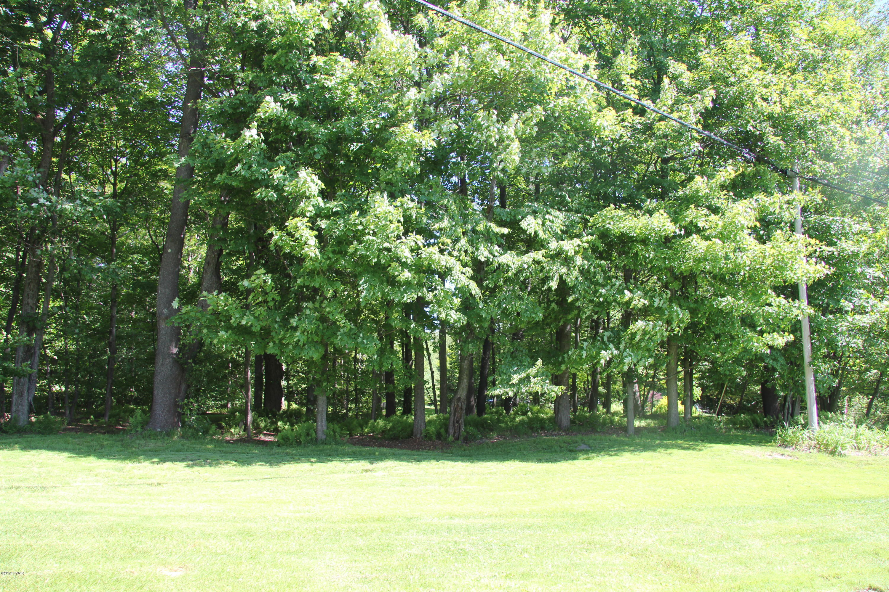 107 Lillie Road Waymart, PA 18472 - Photo 30 of 49 Lawn