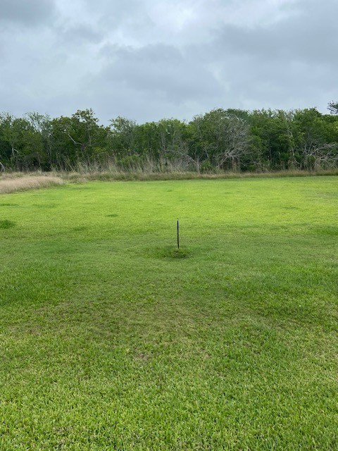 0 County Road 257 Road Matagorda, TX 77457 - Photo 1 of 3 a view of a lake with a yard