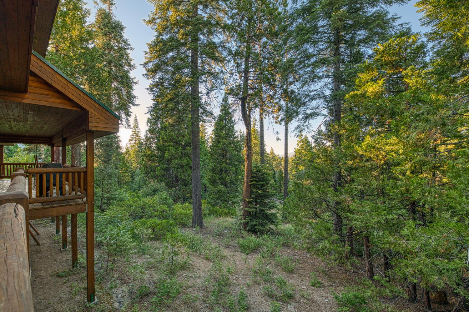 41931 Granite Ridge Road Shaver Lake, CA 93664 - Photo 64 of 72 Gallery Image 64