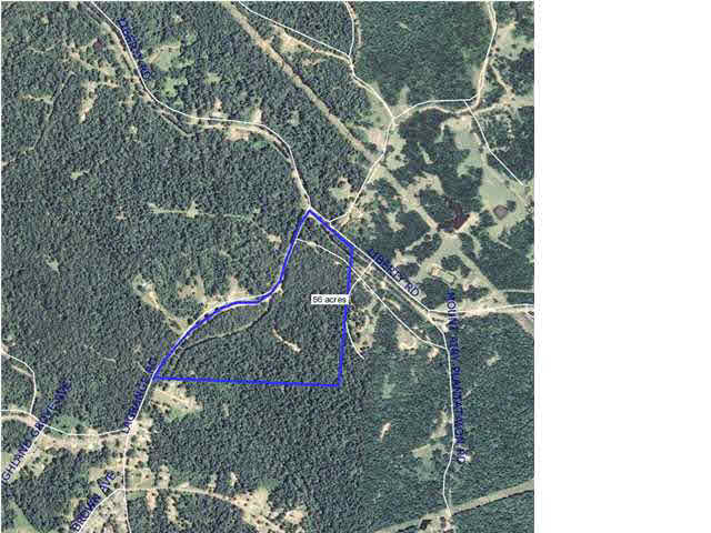 123 Liberty Road Natchez, MS 39120 - Photo 7 of 9 Photo 7