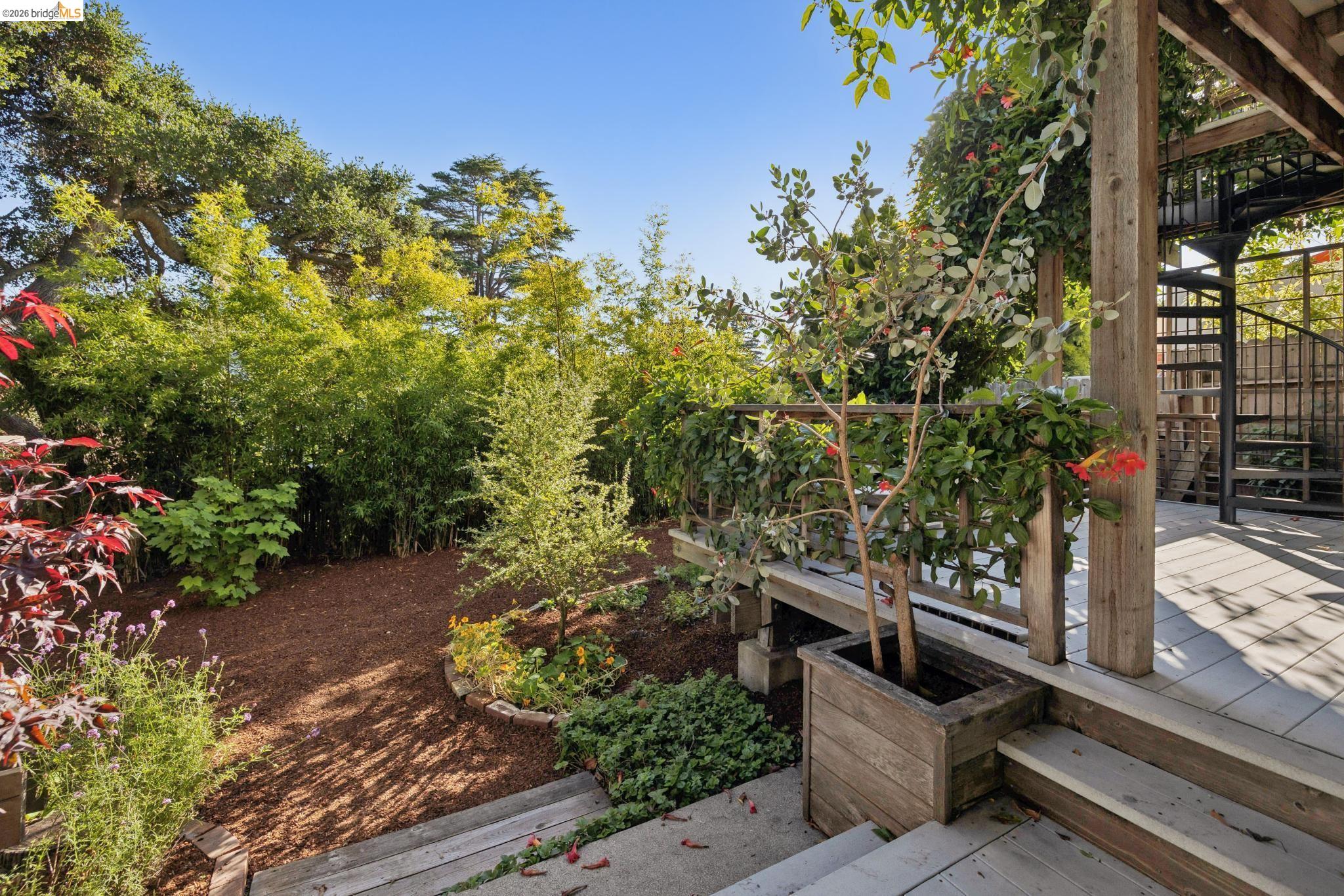 664 Vincente Avenue Berkeley, CA 94707 - Photo 46 of 54