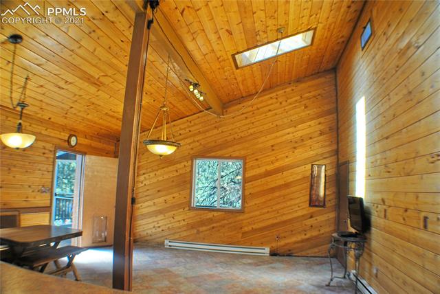 262-338 Post Road Guffey, CO 80820 - Photo 34 of 34 Vaulted Ceilings & 3 Skylights make this Great Room Floor Plan Open and Bright