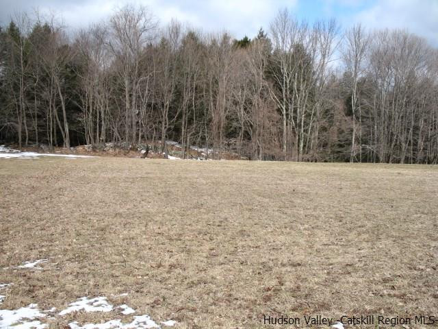 Lot33 Van Etten Road Prattsville, NY 12468 - Photo 1 of 31 a view of road with trees