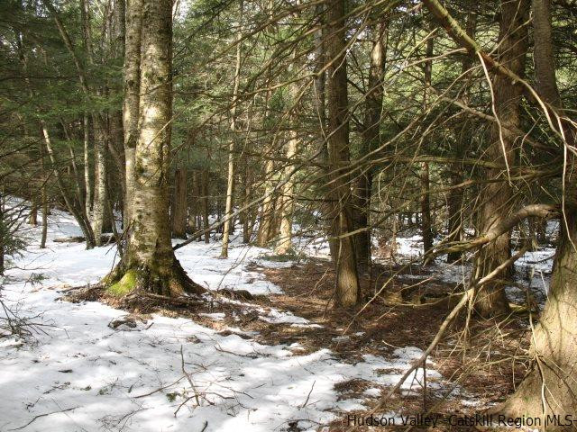 Lot33 Van Etten Road Prattsville, NY 12468 - Photo 12 of 31 a view of yard