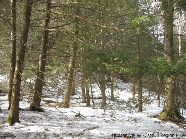 Lot33 Van Etten Road Prattsville, NY 12468 - Photo 16 of 31 a view of snow covered with trees