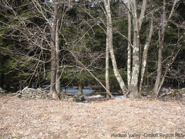 Lot33 Van Etten Road Prattsville, NY 12468 - Photo 17 of 31 a view of wooden fence and a tree