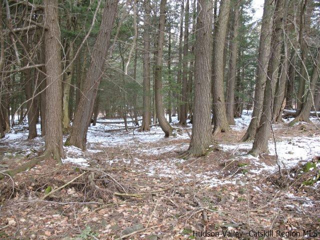 Lot33 Van Etten Road Prattsville, NY 12468 - Photo 19 of 31 a view of outdoor space with trees