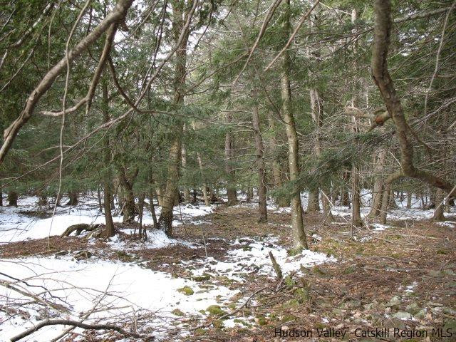 Lot33 Van Etten Road Prattsville, NY 12468 - Photo 20 of 31 a view of road and trees