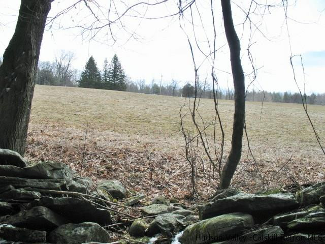 Lot33 Van Etten Road Prattsville, NY 12468 - Photo 23 of 31