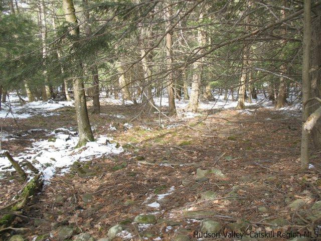Lot33 Van Etten Road Prattsville, NY 12468 - Photo 26 of 31 a view of a yard with large trees