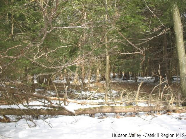 Lot33 Van Etten Road Prattsville, NY 12468 - Photo 27 of 31 a view of a yard