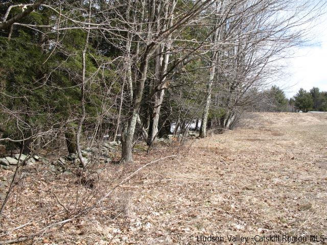 Lot33 Van Etten Road Prattsville, NY 12468 - Photo 28 of 31 a view of a yard with plants and trees