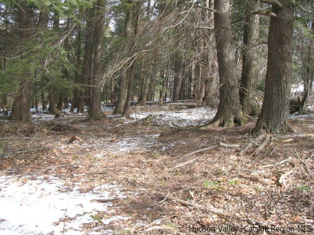 Lot33 Van Etten Road Prattsville, NY 12468 - Photo 29 of 31 a view of a yard with tree s