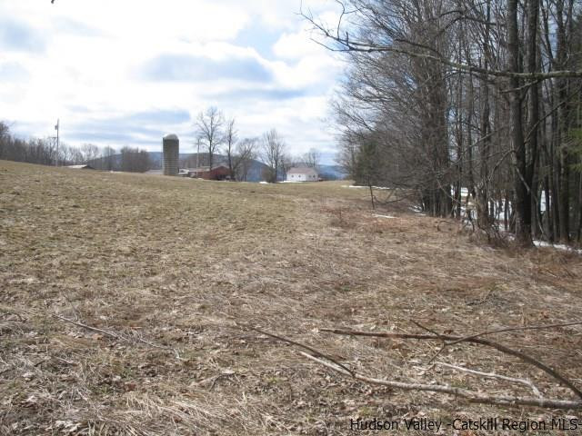 Lot33 Van Etten Road Prattsville, NY 12468 - Photo 30 of 31 a view of city and mountain