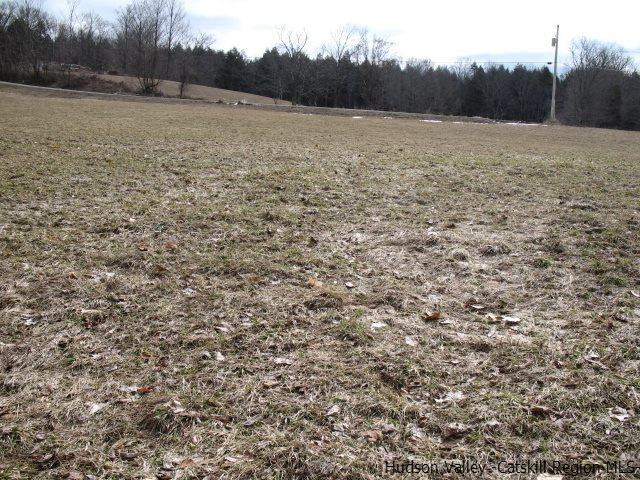 Lot33 Van Etten Road Prattsville, NY 12468 - Photo 3 of 31 a view of an outdoor space and a yard