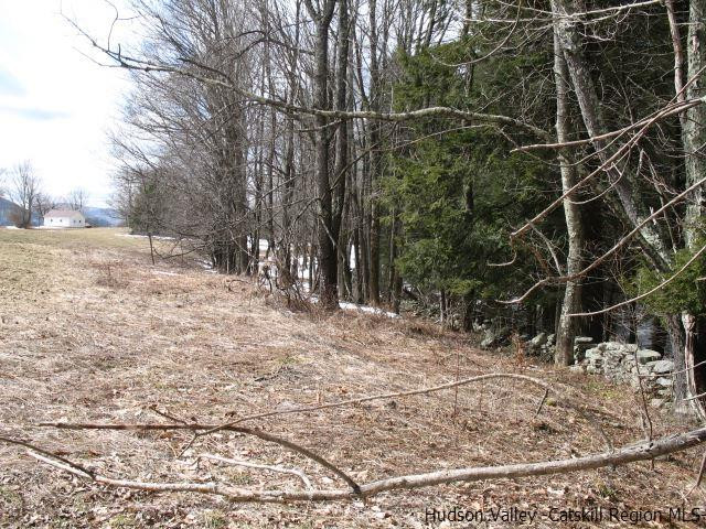 Lot33 Van Etten Road Prattsville, NY 12468 - Photo 31 of 31 a view of a yard with wooden fence