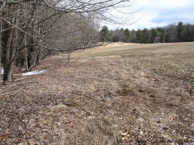 Lot33 Van Etten Road Prattsville, NY 12468 - Photo 4 of 31 a view of large trees with mountain view