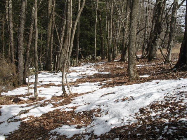 Lot33 Van Etten Road Prattsville, NY 12468 - Photo 5 of 31 a view of a backyard of the house
