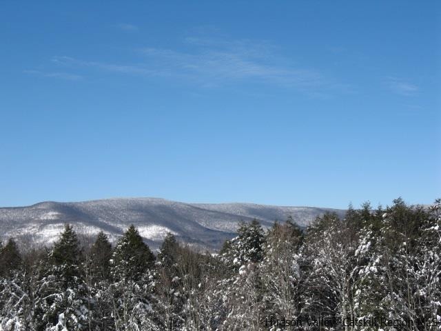 Lot33 Van Etten Road Prattsville, NY 12468 - Photo 6 of 31