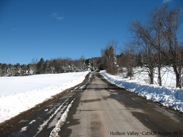 Lot33 Van Etten Road Prattsville, NY 12468 - Photo 7 of 31 a view of a outdoor space