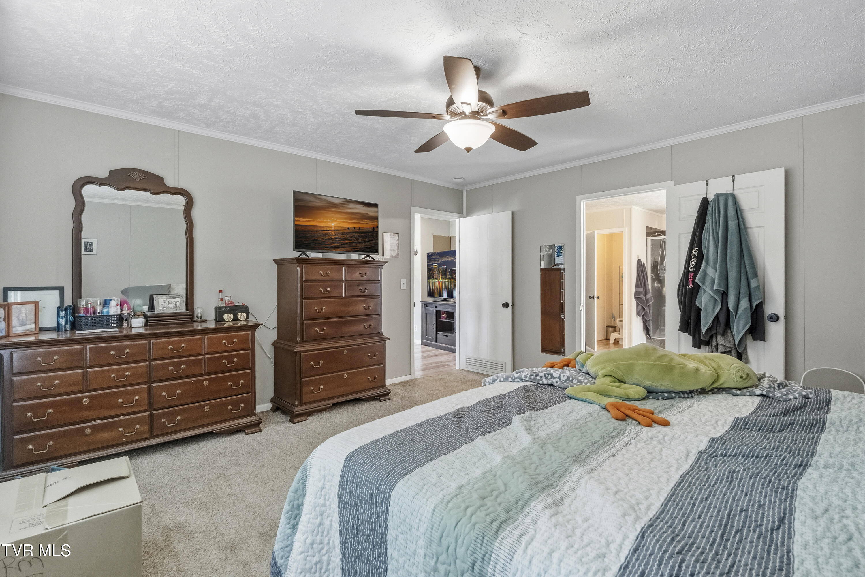 245 McCamey Road Mosheim, TN 37818 - Photo 15 of 33 9