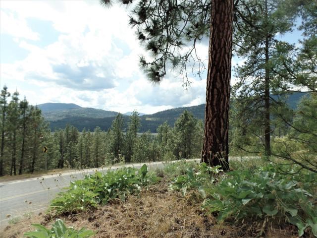 Lot 102 Old Kettle Road Kettle Falls, WA 99141 - Photo 11 of 18 Gallery Image 11